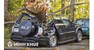 Trách nhiệm bồi thường thiệt hại trong trường hợp tài sản vô chủ gây thiệt hại và của người chiếm hữu có căn cứ pháp luật khác