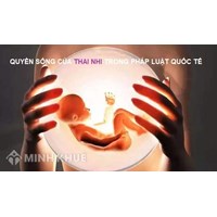 Quyền sống của thai nhi trong pháp luật quốc tế và pháp luật Việt Nam được quy định như thế nào?