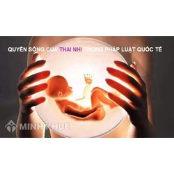 Quyền sống của thai nhi trong pháp luật quốc tế và pháp luật Việt Nam được quy định như thế nào?