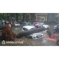 Tiêu chí phân loại trách nhiệm bồi thường thiệt hại do tài sản gây ra