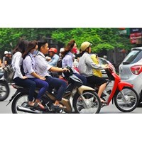Trong trường hợp nào thì trường học, bệnh viện phải bồi thường thiệt hại do học sinh, bệnh nhân khác gây ra?