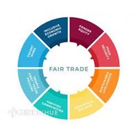 Phân tích nguyên tắc thương mại công bằng theo quy định của GATT/WTO
