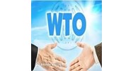 Những thách thức của WTO trong thời đại mới ? Việt Nam gia nhập WTO có khả năng phải đối mặt với những khó khăn nào?