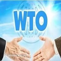 Những thách thức của WTO trong thời đại mới ? Việt Nam gia nhập WTO có khả năng phải đối mặt với những khó khăn nào?