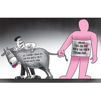 Ai có trách nhiệm bồi thường thiệt hại do súc vật gây ra?
