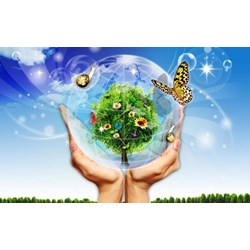 Gây ô nhiễm môi trường nhưng không có lỗi thì có phải bồi thường thiệt hại không?