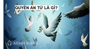 An tử là gì? Lịch sử hình thành và vấn đề an tử trong pháp luật quốc tế