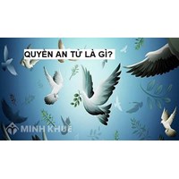 An tử là gì? Lịch sử hình thành và vấn đề an tử trong pháp luật quốc tế