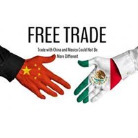 Những thỏa thuận thương mại khu vực và WTO.