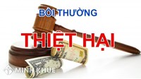 Trường hợp loại trừ trách nhiệm bồi thường thiệt hại khi thiệt hại xảy ra hoàn toàn do lỗi cố ý của người bị thiệt hại