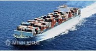 Hàng hóa nhập khẩu theo chế độ hạn ngạch thuế quan?