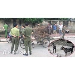 Trường hợp chủ sở hữu phải bồi thường thiệt hại do súc vật gây ra khi súc vật không thuộc sự quản lý của chủ sở hữu