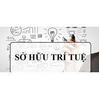 Quyền sở hữu trí tuệ trong quan hệ dân sự có yếu tố nước ngoài