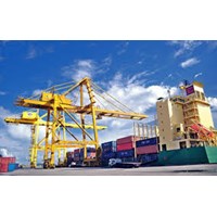 Cấp Mã số tạm nhập, tái xuất đối với hàng hóa kinh doanh tạm nhập, tái xuất có điều kiện ?