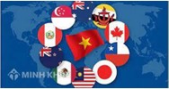 Phân tích mối quan hệ giữa biện pháp chính sách thương mại quốc tế và các chính sách trong nước.