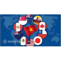 Phân tích mối quan hệ giữa biện pháp chính sách thương mại quốc tế và các chính sách trong nước.