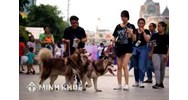 Căn cứ loại trừ trách nhiệm bồi thường thiệt hại do súc vật gây ra
