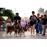 Căn cứ loại trừ trách nhiệm bồi thường thiệt hại do súc vật gây ra
