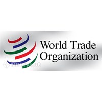 Tìm hiểu về "Kiến tạo WTO và Đưa ra các quyết định có thẩm quyền"