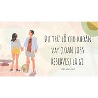 Dự trữ lỗ cho khoản vay (LOAN LOSS RESERVES) là gì ?