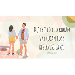 Dự trữ lỗ cho khoản vay (LOAN LOSS RESERVES) là gì ?