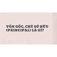 Vốn gốc, chủ sở hữu (PRINCIPAL) là gì ?