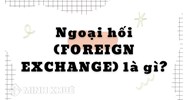 Ngoại hối (FOREIGN EXCHANGE) là gì? Vai trò ngoại hối là gì?