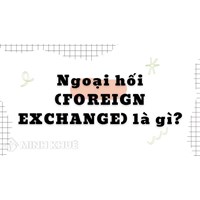 Ngoại hối (FOREIGN EXCHANGE) là gì? Vai trò ngoại hối là gì?