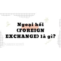 Ngoại hối (FOREIGN EXCHANGE) là gì? Vai trò ngoại hối là gì?