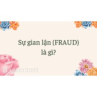 Sự gian lận (FRAUD) là gì ?