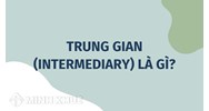 Trung gian (INTERMEDIARY) là gì ?