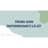 Trung gian (INTERMEDIARY) là gì ?