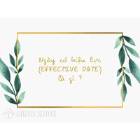 Ngày có hiệu lực (EFFECTIVE DATE) là gì? Ví dụ ngày có hiệu lực