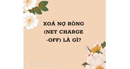 Xóa nợ là gì? Xóa nợ ròng là gì? Net Charge off nghĩa là gì?