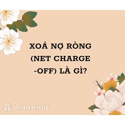 Xóa nợ là gì? Xóa nợ ròng là gì? Net Charge off nghĩa là gì?