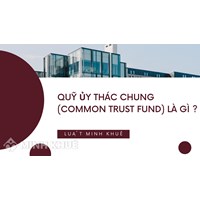 Quỹ ủy thác chung là gì? Common trust fund nghĩa là gì?