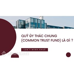Quỹ ủy thác chung là gì? Common trust fund nghĩa là gì?