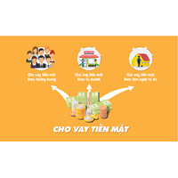 Cấp pháp khoản cho vay vi tính hóa (COMPUTERIZED LOAN ORIGINATION - CLO) là gì ? Các trường hợp cho vay đặc biệt