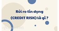 Rủi ro tín dụng (CREDIT RISK) là gì ?