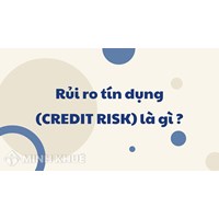 Rủi ro tín dụng (CREDIT RISK) là gì ?