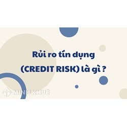 Rủi ro tín dụng (CREDIT RISK) là gì ?