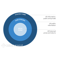 Hiệu quả thị trường (market efficiency) là gì ?Thuyết thị trường hiệu quả và ảnh hưởng thực tế?