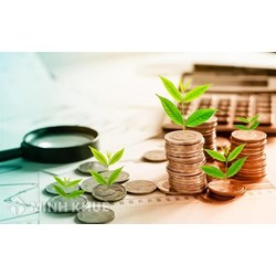 Trái phiếu đầu cơ (JUNK BOND) là gì ? Thực trạng của thị trường trái phiếu doanh nghiệp