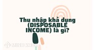 Thu nhập khả dụng (DISPOSABLE INCOME) là gì ?