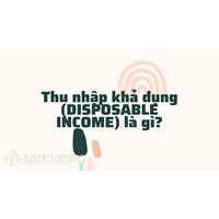 Thu nhập khả dụng (DISPOSABLE INCOME) là gì ?