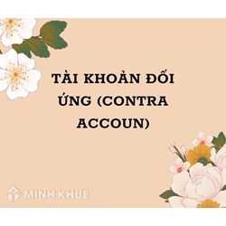 Tài khoản đối ứng (CONTRA ACCOUNT) là gì ?