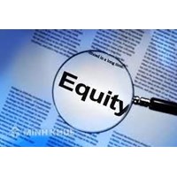 Tài sản, vốn cổ phần (EQUITY) là gì   ?