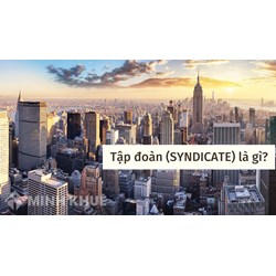 Tập đoàn (SYNDICATE) là gì ?