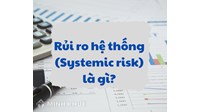 Rủi ro hệ thống là gì? Đặc điểm, phân loại rủi ro hệ thống