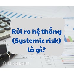 Rủi ro hệ thống là gì? Đặc điểm, phân loại rủi ro hệ thống